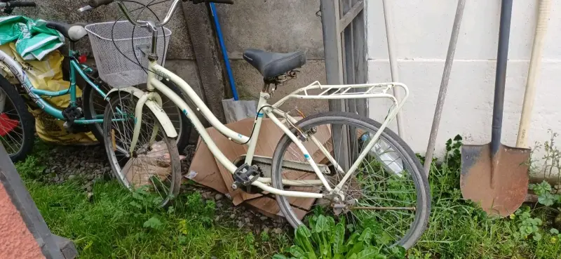 Bicicleta urbana con canasto y parrilla - 2