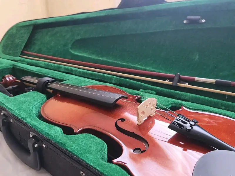 Violín con estuche y accesorios incluidos