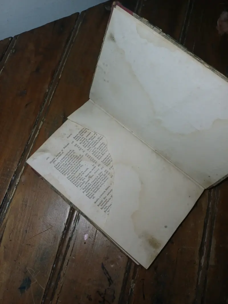 Libro de más 200 años de antiguedad - 5