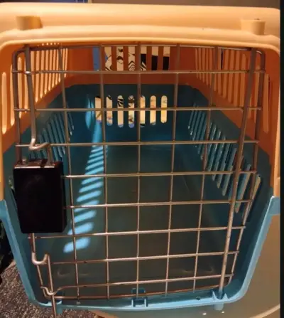 Canil para transporte de mascotas mediano - miniatura 4