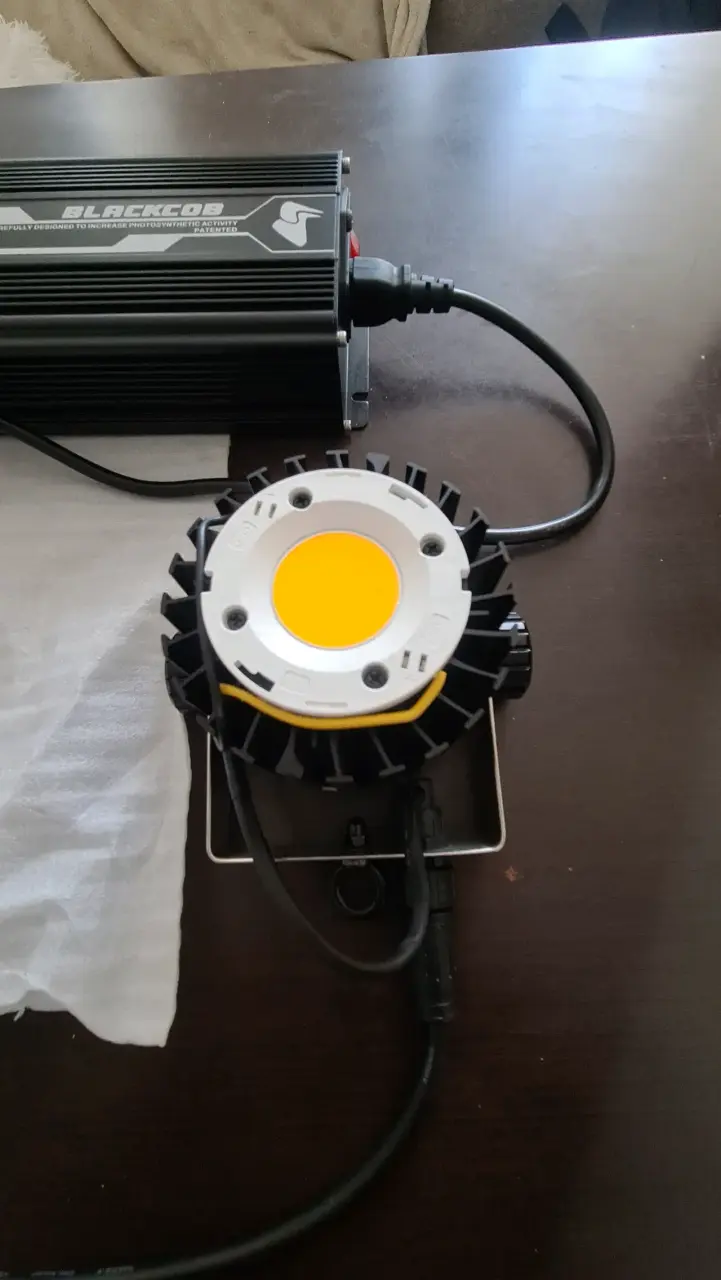 LED para cultivo BlackCob F160 - 4
