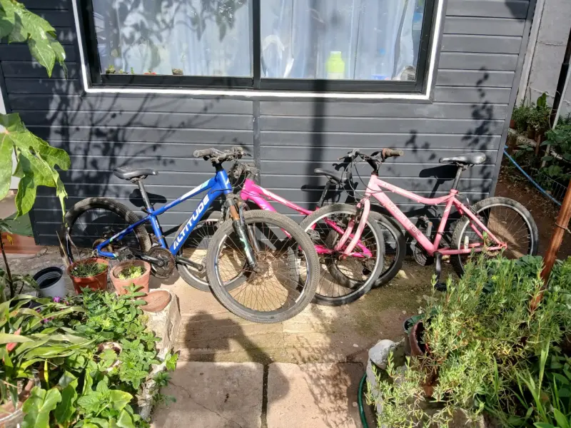 Bicicleta Oxford para adulto en buen estado - 3