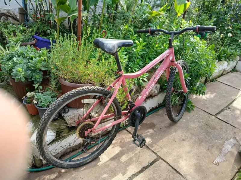 Bicicleta Oxford para adulto en buen estado - 5