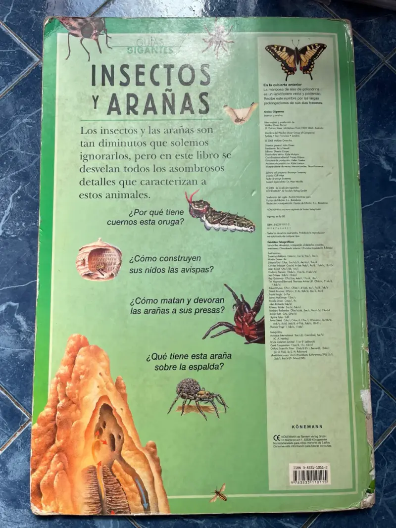 Libro Guías Gigantes Insectos y Arañas - 2