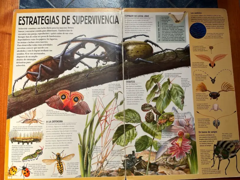 Libro Guías Gigantes Insectos y Arañas - 4
