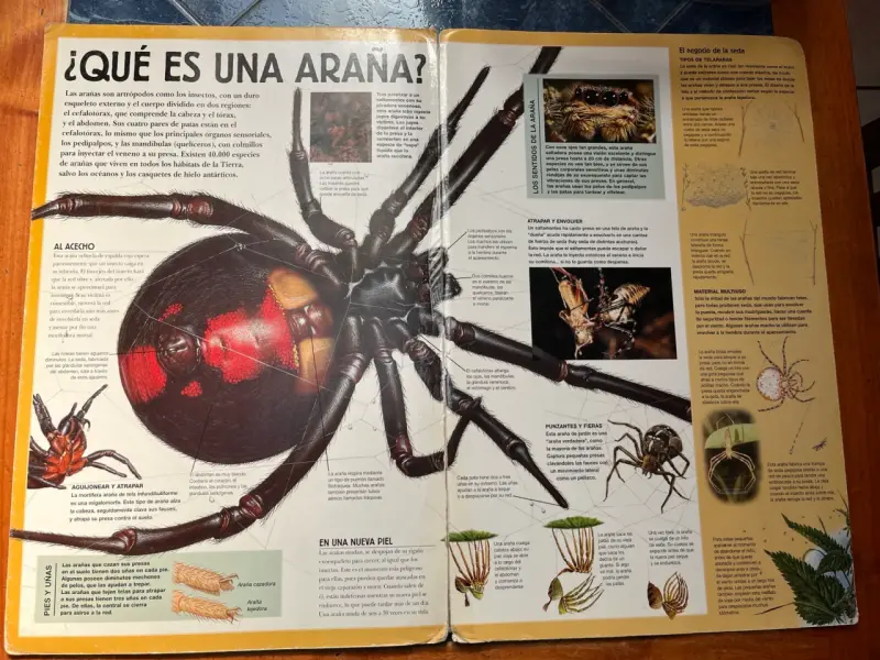 Libro Guías Gigantes Insectos y Arañas - 6