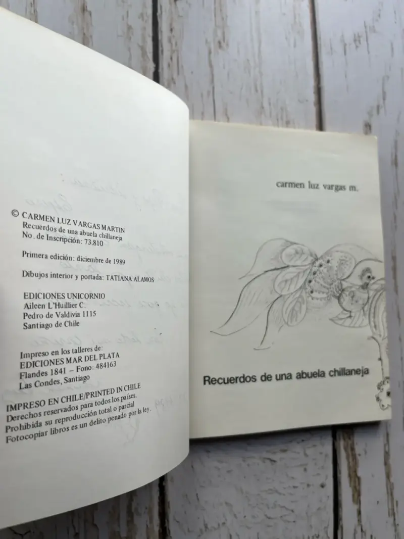 Recuerdos de una abuela chillaneja / Carmen Luz Va - 5