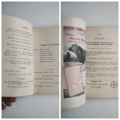Catálogo de la 71ª Exposición de Animales 1941 - miniatura 3