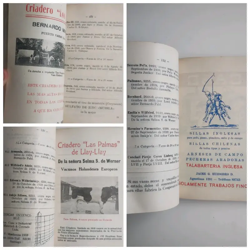 Catálogo de la 71ª Exposición de Animales 1941 - 4