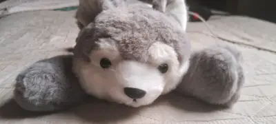 Peluche de Perrito Husky / Lobo Tumbado (Nuevo) - miniatura 1