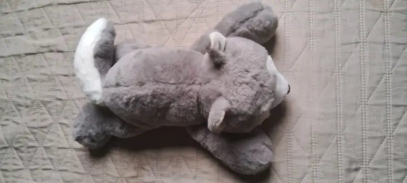 Peluche de Perrito Husky / Lobo Tumbado (Nuevo) - 3