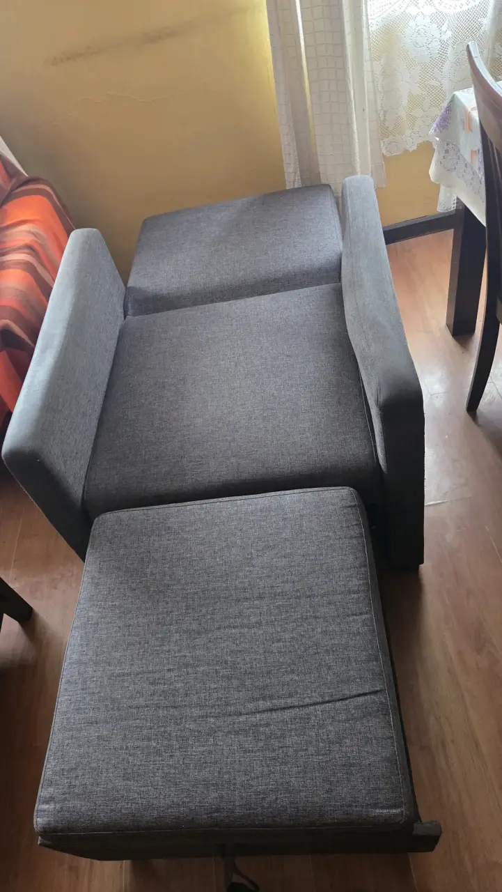 Sofá cama 1 plaza (precio conversable) - 1