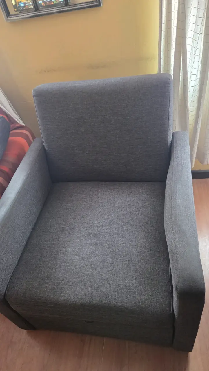 Sofá cama 1 plaza (precio conversable) - 3