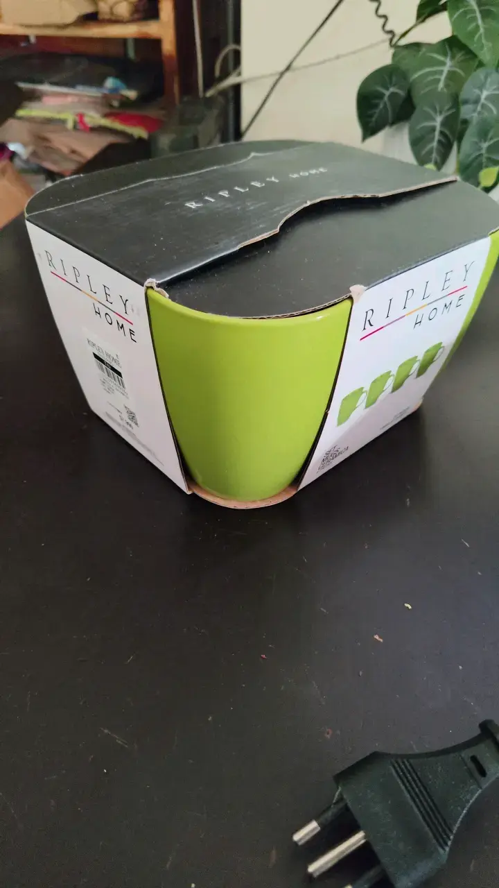 Set de tazas de cerámica verde Ripley Home - 3