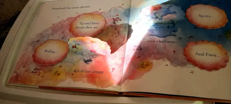 Libro infantil 'Sweet Dreams' de Sue Porter - 4