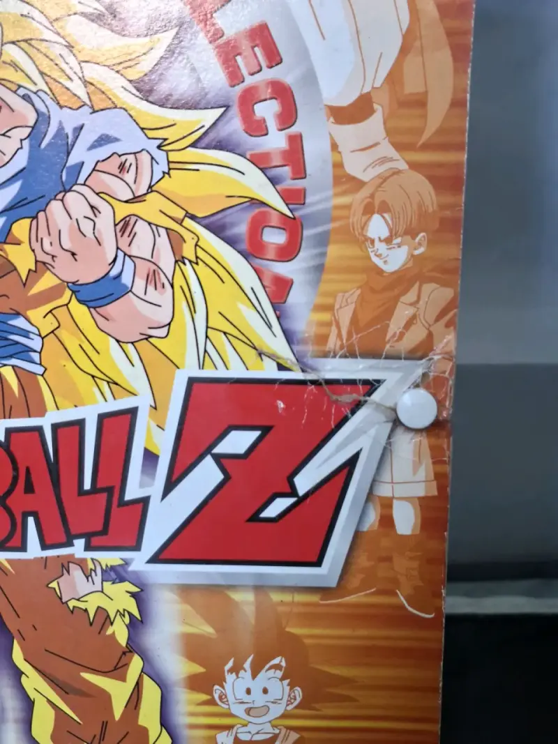 Álbum de Stickers Dragon Ball Z Salo Completo - 6