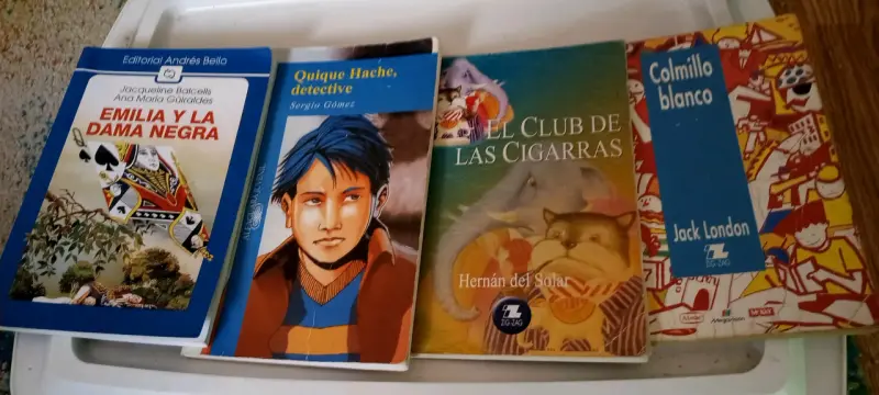 Colección de libros juveniles variados - 1