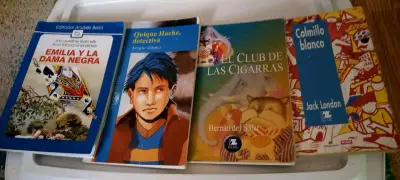 Colección de libros juveniles variados - miniatura 1
