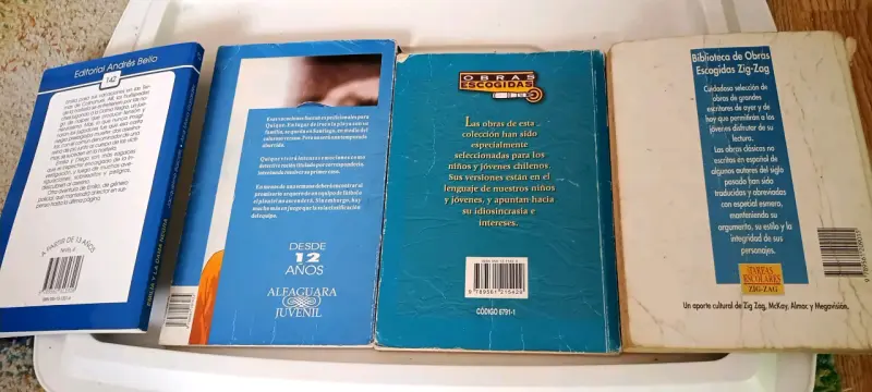 Colección de libros juveniles variados - 2