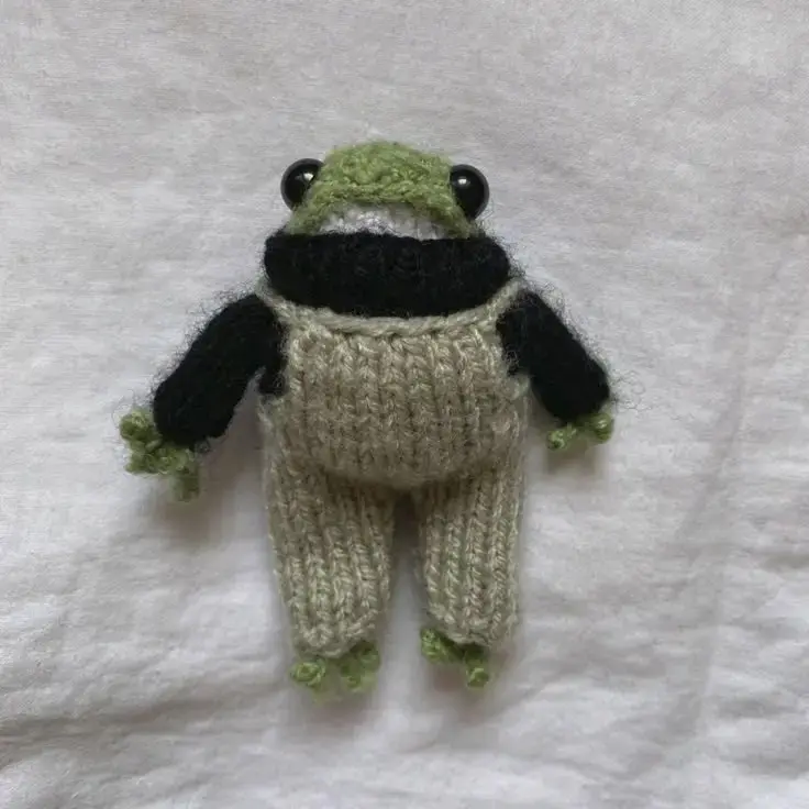Muñeco de rana tejido a mano con ropa - 2