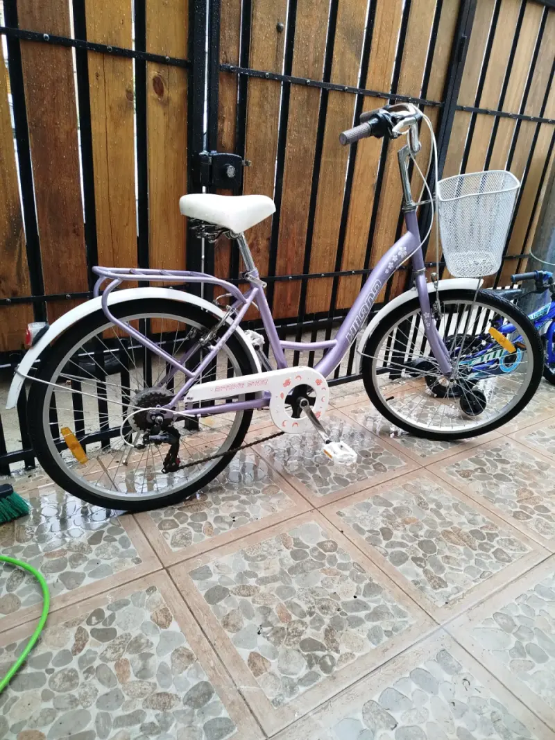 Bicicleta urbana Highland morada con canasto