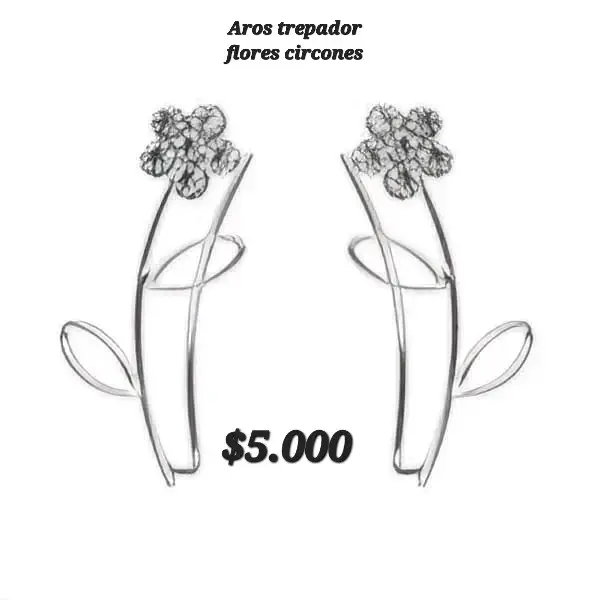 Aros de Plata 925 diferentes diseños - 3