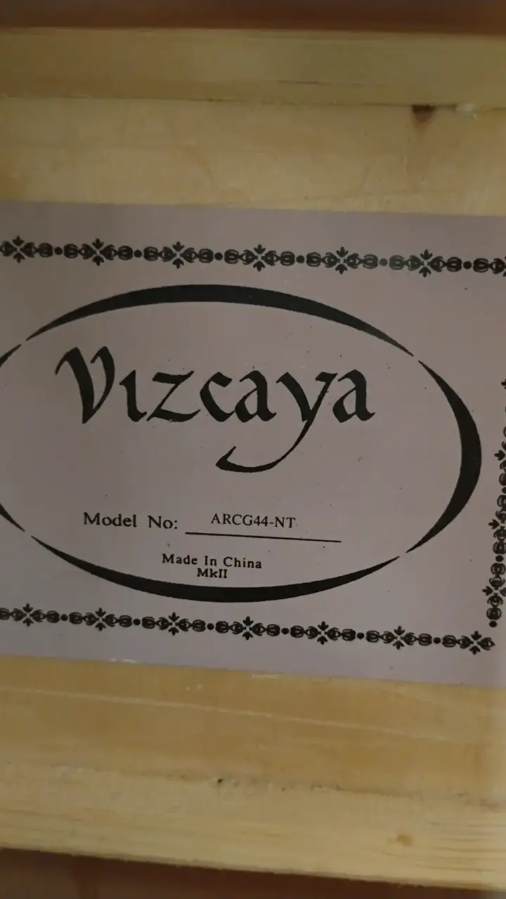 Guitarra clásica Vizcaya con funda - 2