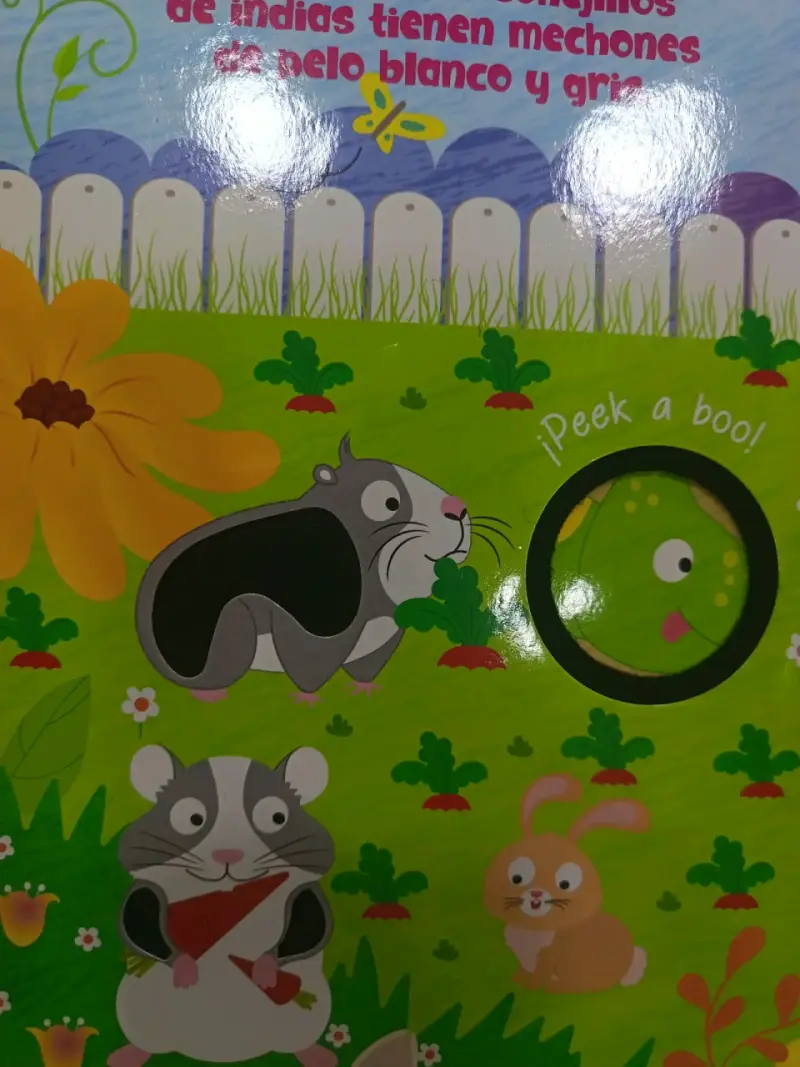 Libro sensorial Peek a Boo con mascotas de fieltro - 5