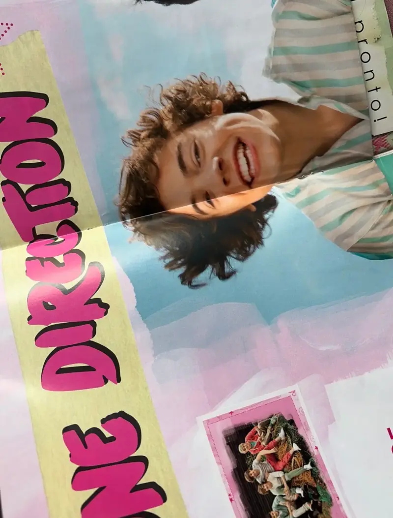 Álbum de stickers One Direction oficial Panini - 3