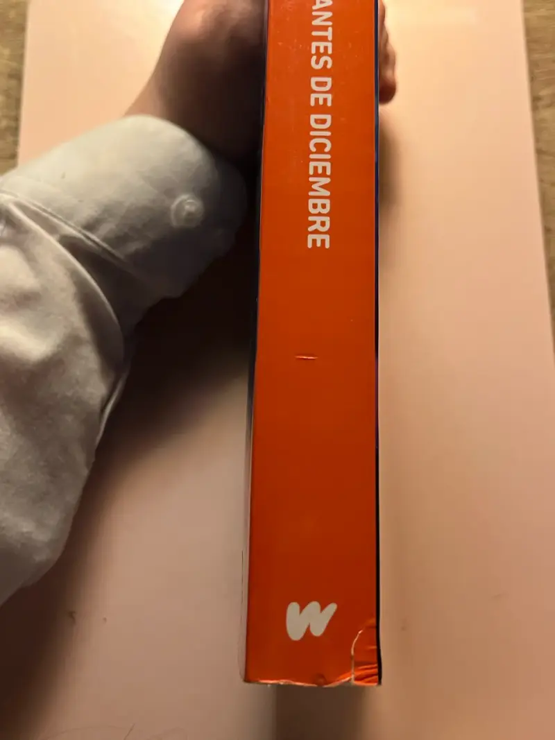 Libro 'Antes de Diciembre' de Joana Marcús - 3