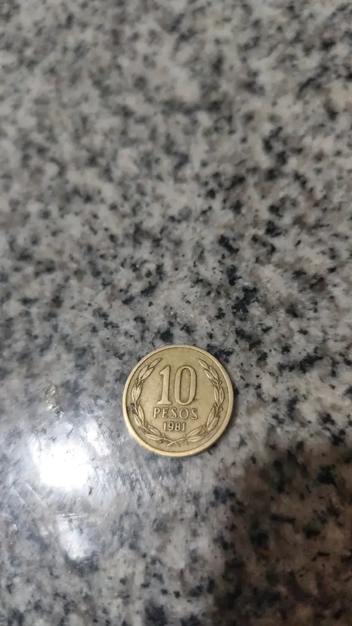 Moneda chilena de 10 pesos de 1981 - 2