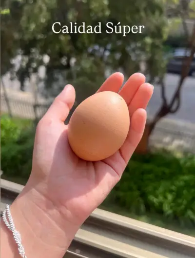 Huevos frescos y de campo - yema naranja 🍊 - miniatura 2