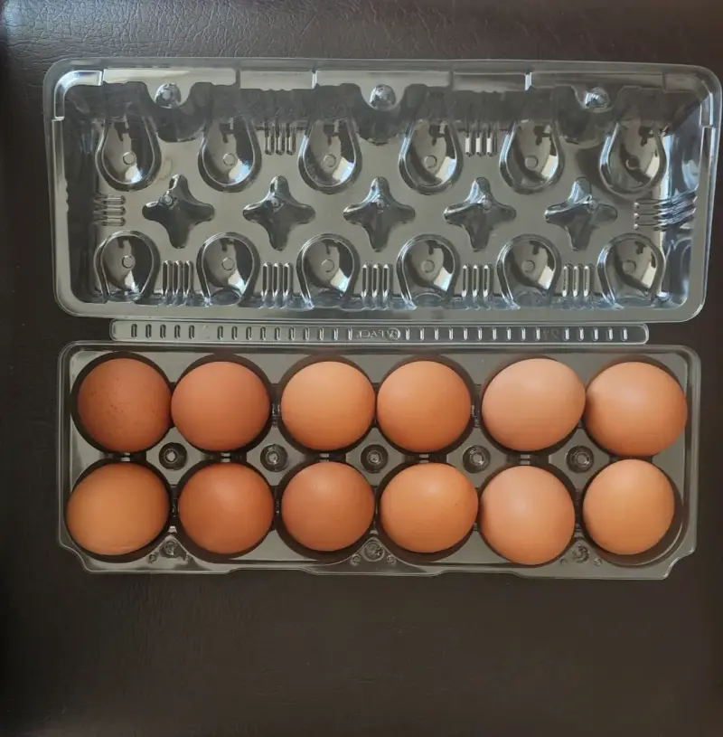 Huevos frescos y de campo - yema naranja 🍊 - 3