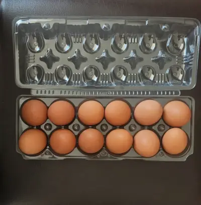 Huevos frescos y de campo - yema naranja 🍊 - miniatura 3