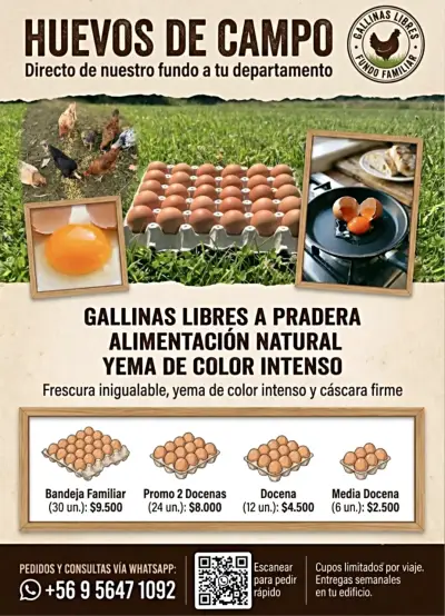 Huevos frescos y de campo - yema naranja 🍊 - miniatura 6