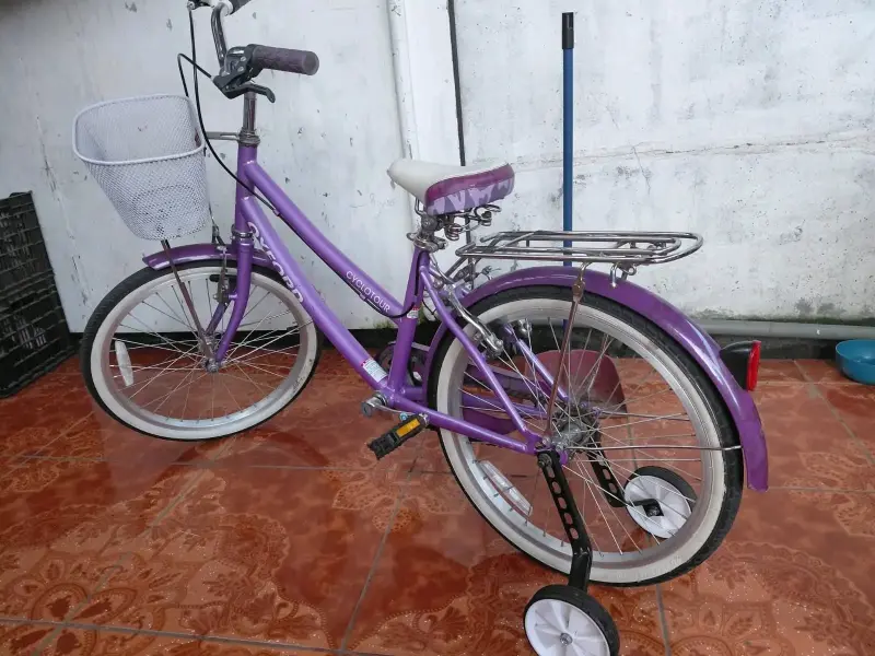 Bicicleta infantil Oxford morada con canasto - 3