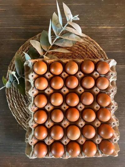 Huevos frescos del dia - miniatura 3