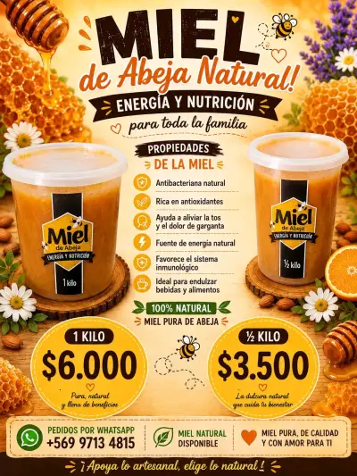 Miel de abeja 1 kilo y 1/2 kilo pura y artesanal - miniatura 1