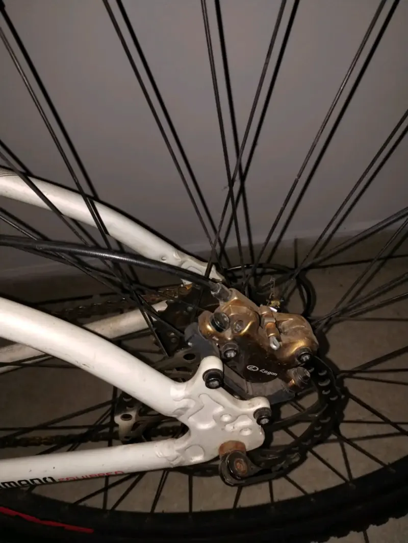 Bicicleta MTB RAM blanca con frenos de disco - 3