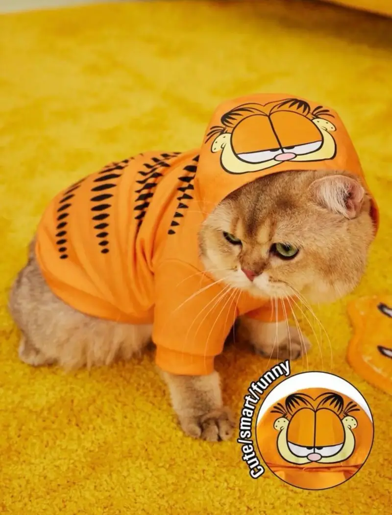 Disfraz para gato de Garfield talla XS - 1