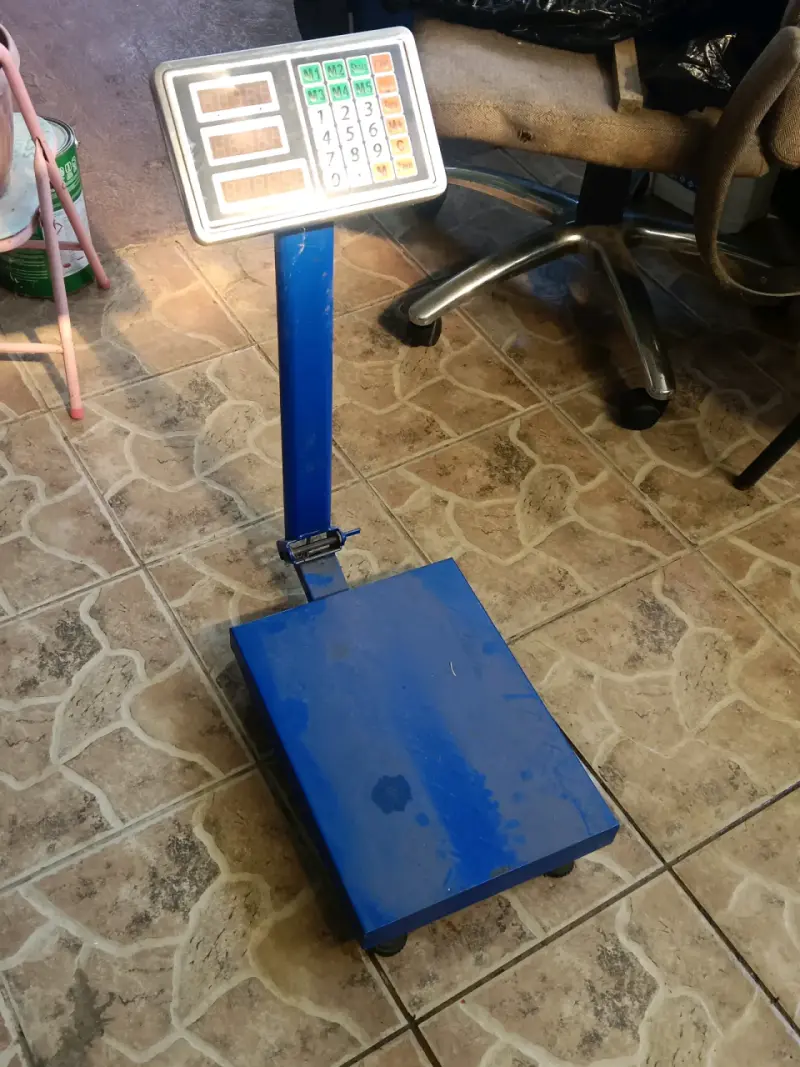 Balanza electrónica industrial azul - 1