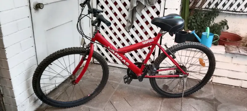 Bicicleta "Vargas" aro 26