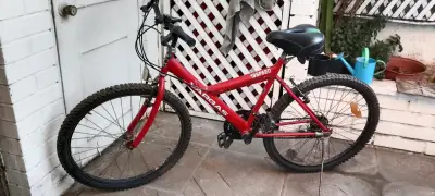 Bicicleta "Vargas" aro 26 - miniatura 1