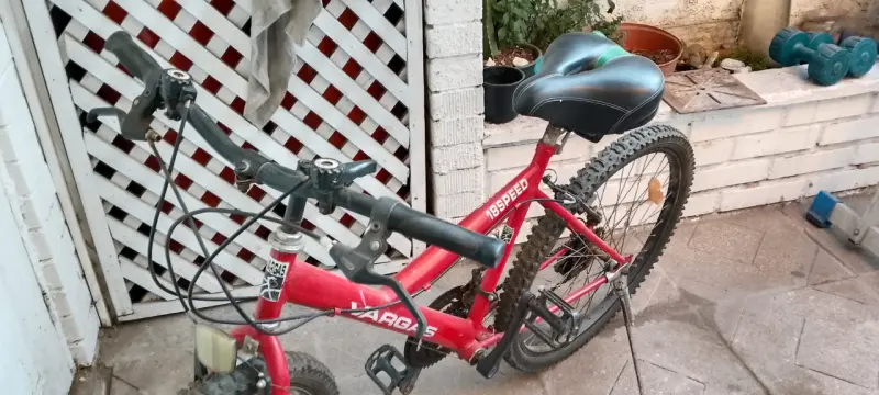 Bicicleta "Vargas" aro 26 - 2