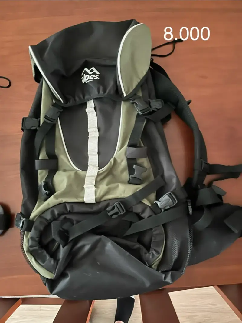 Mochila de senderismo Alpes verde y negra