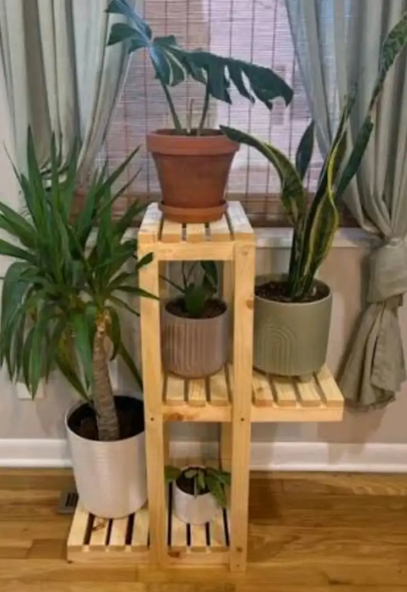 Estante de madera para plantas de interior