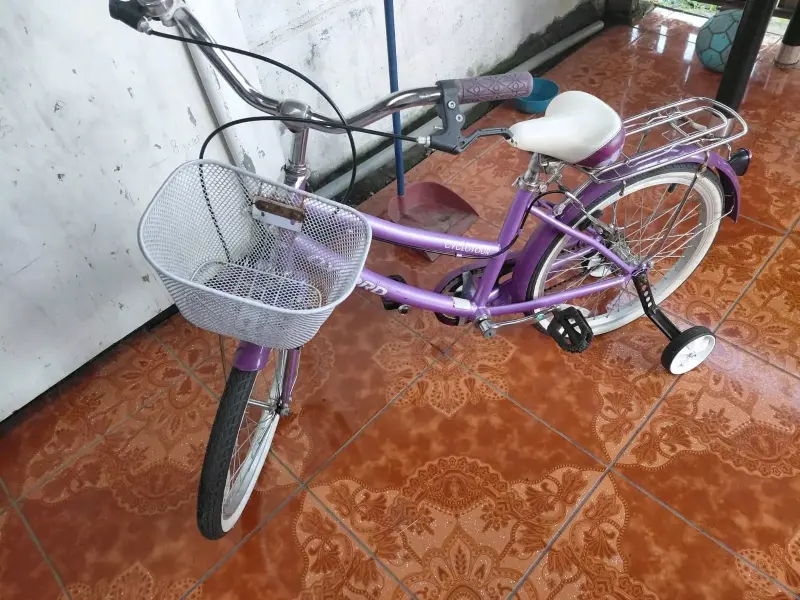 Bicicleta infantil Oxford morada con canasto - 2