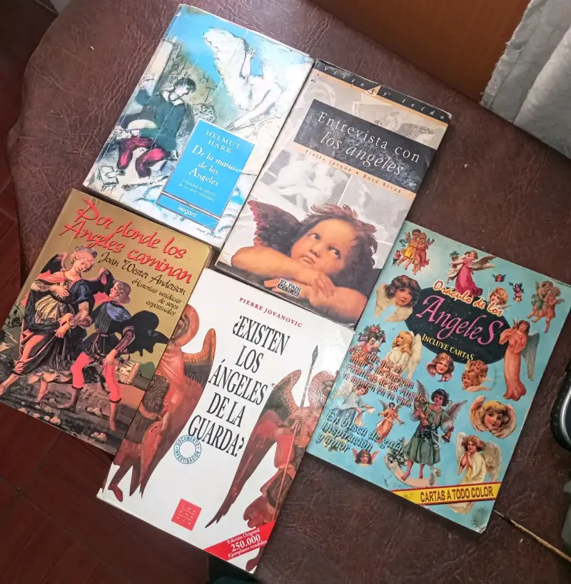 Lote de libros sobre ángeles