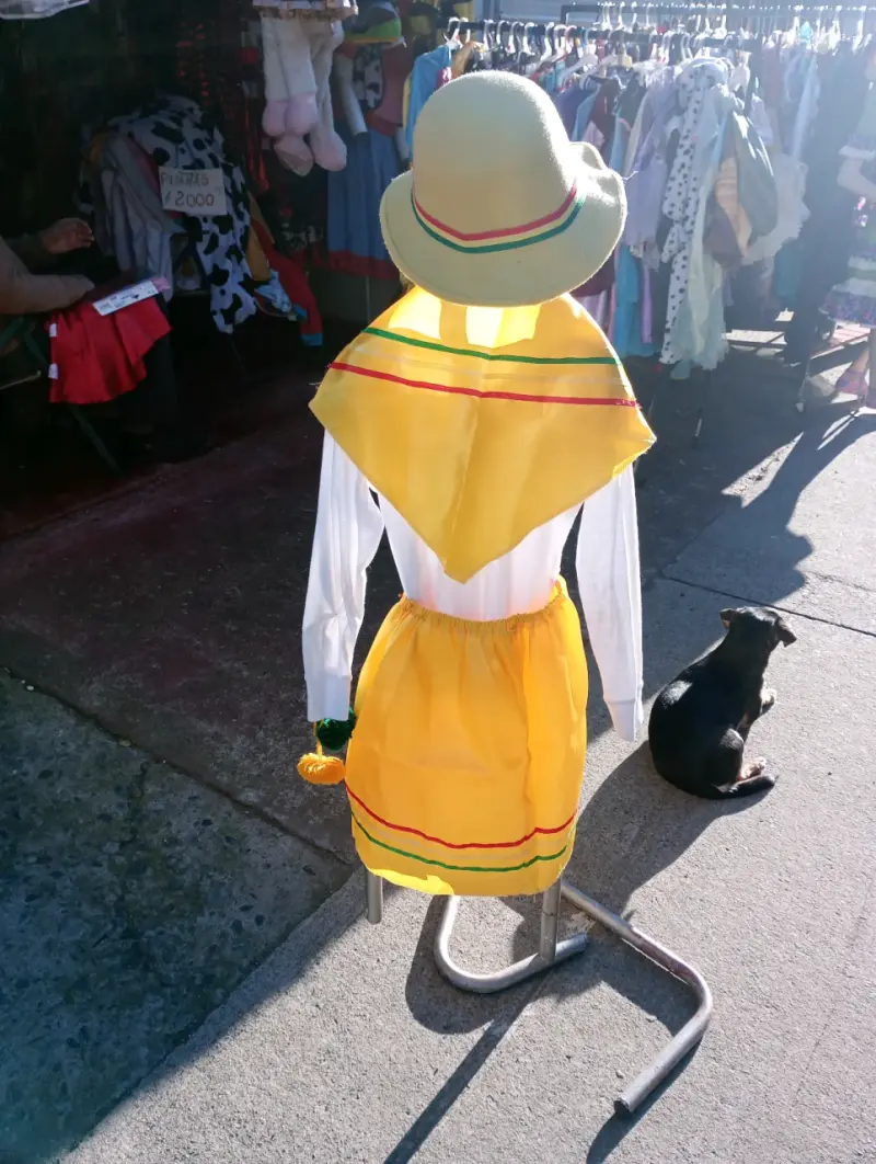 Traje nortino talla 6 - 2