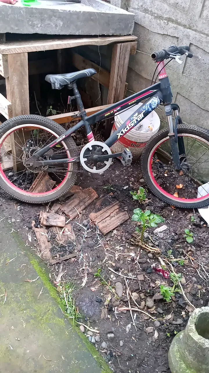 Bicicleta Xds Xdstar para niños con ruedas rojas